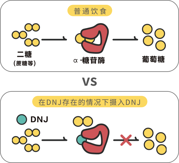 葡安素营养蛋白粉｜谢月开百货展示图