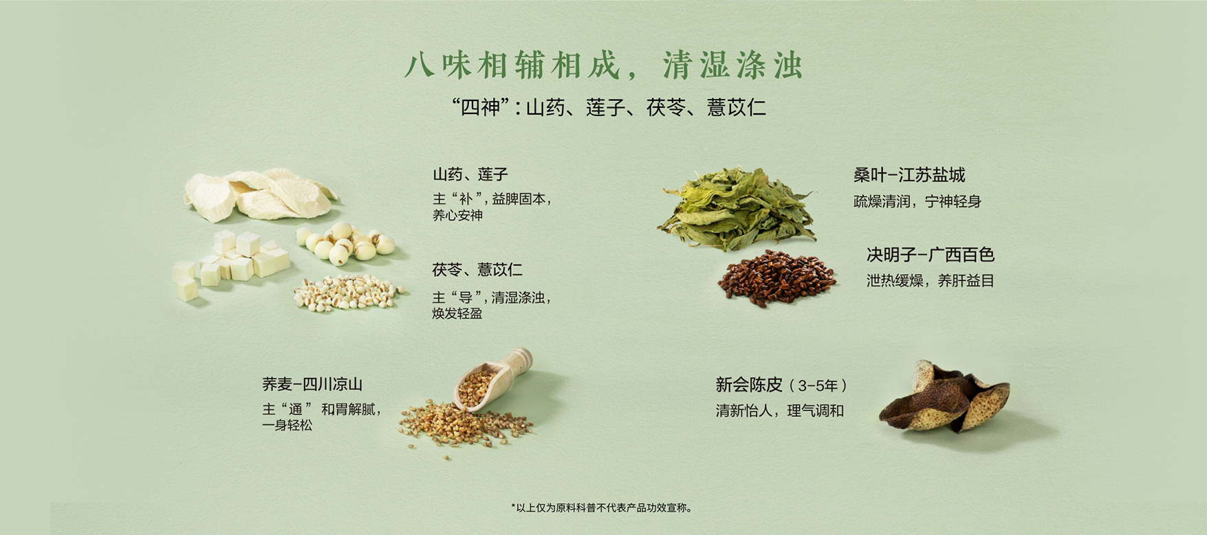 Hidden Garden桑叶茯苓茶｜谢月开百货展示图