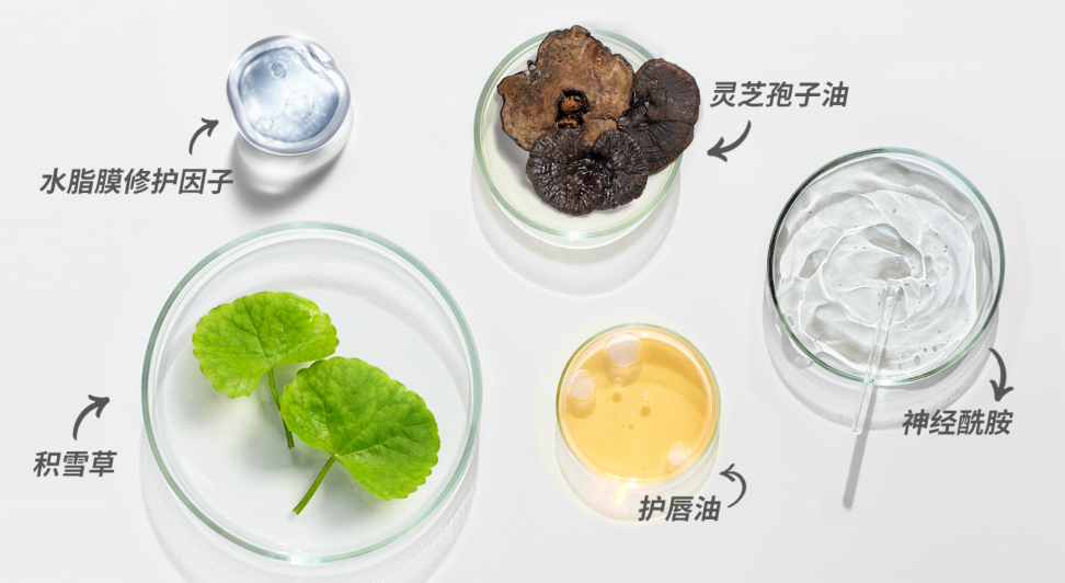 水·贝娜丝柔缎光唇膏｜谢月开百货展示图