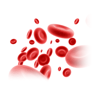 CardiOmega EPA ®鱼油软胶囊｜谢月开百货展示图